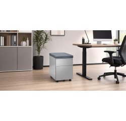 Caisson mobile métal Bruneau avec coussin