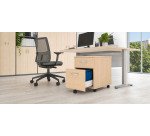 Caisson mobile bois Bruneau Excellens