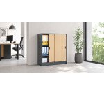 Schrank Harmonie H 100 x B 90 x T 44 cm Korpus anthrazit Schiebetüren Holz