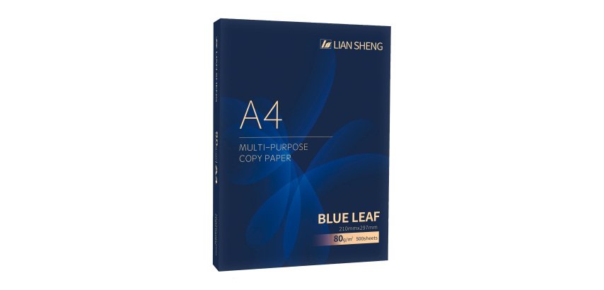 Carta A4 Blue Leaf 80g risme da 500 fogli - Carta per stampa e fotocopie