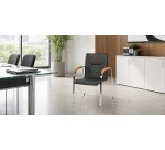 Fauteuil Elegans