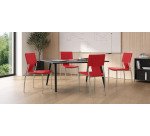 Lot de 4 chaises REOLID