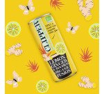 Clipper Zitrone, Ingwer, Bio-Rooibos 25 cl - 24 Dosen