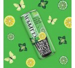 Clipper Bio-Minze, Zitrone und Limette 25 cl - 24 Dosen