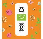 Clipper camomille, pêche et orange Bio 25 cl - 24 canettes