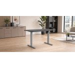 Equip Telaio per scrivania elettrica ERGO con scrivania, grigio