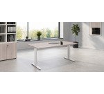 En_bureaux droits l 160 pieds metal fixe excellen