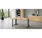 Gb_bur.compact 160 gauche hetre alu metal plus excellens