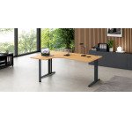 Gb_bur.compact 180 ga.hetre alu pied metal plus excellens