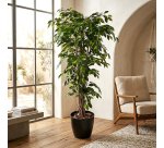 Plante artificielle d'intérieur Ficus liane