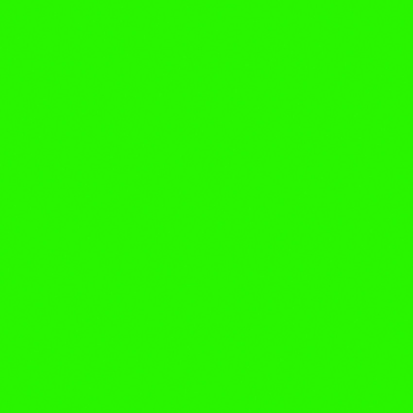 Vert RAL 6018