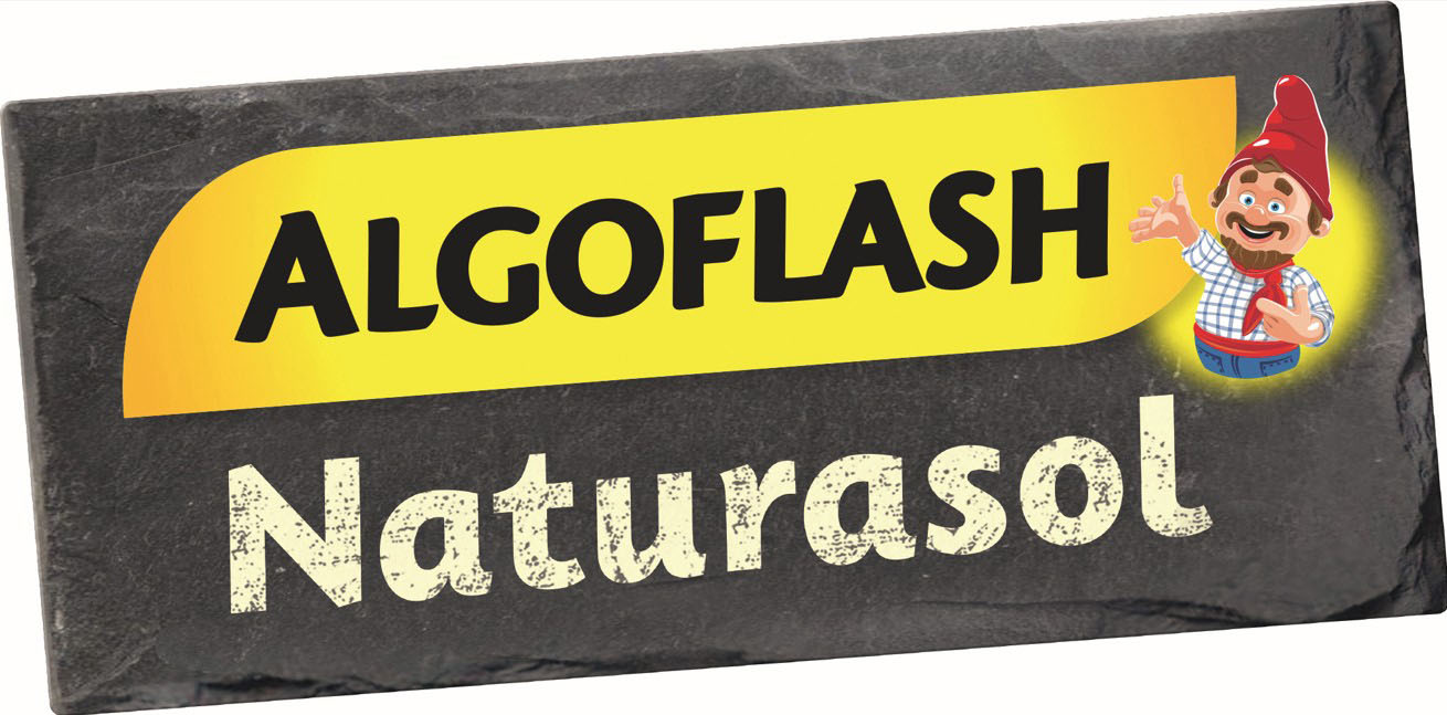Algoflash
