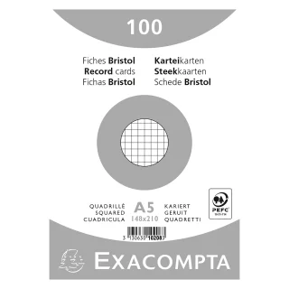 Exacompta, Fiches, Bristol, A4, 210 x 297 mm, Ligné, Vertical, Blanc, 13806B