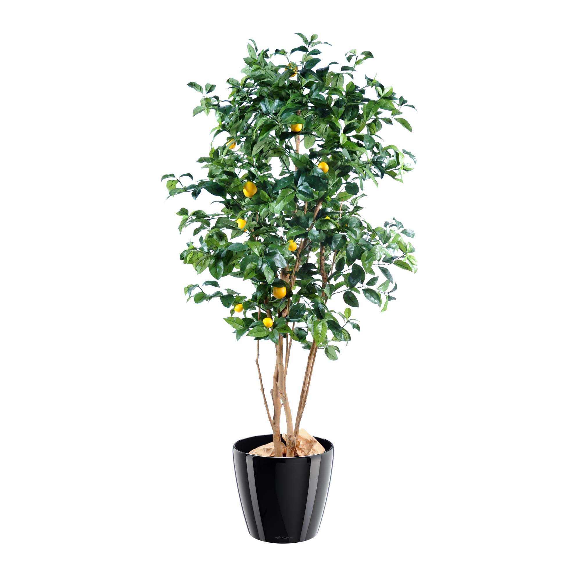 Künstliche Zimmerpflanze Zitronenbaum 180 cm