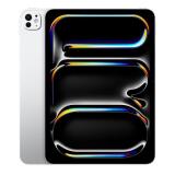13-inch iPad Pro WiFi 512GB with Standard glass - Silver