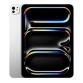 13-inch iPad Pro WiFi 512GB with Standard glass - Silver