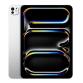 13-inch iPad Pro WiFi 256GB with Standard glass - Silver