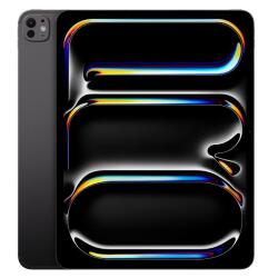 13-inch iPad Pro WiFi + Cellular 256GB with Standard glass - Space Black