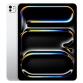 13-inch iPad Pro WiFi + Cellular 2TB with Standard glass - Silver