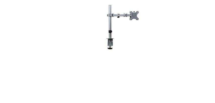 100091387 Braccio Monitor single Focus Argento