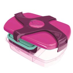 Lunch box a scomparti Concept rosa - 1 78LT 260X190X80mm