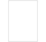 Etichette bianche senza margini - Laser/Inkjet/Copiatrici - 210x297 - 100 ff