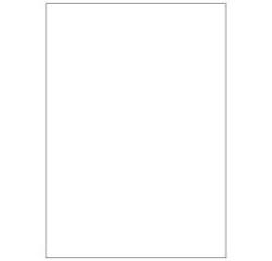 Etichette bianche senza margini - Laser/Inkjet/Copiatrici - 210x297 - 100 ff