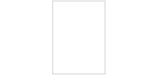 Etichette bianche senza margini - Laser/Inkjet/Copiatrici - 210x297 - 100 ff