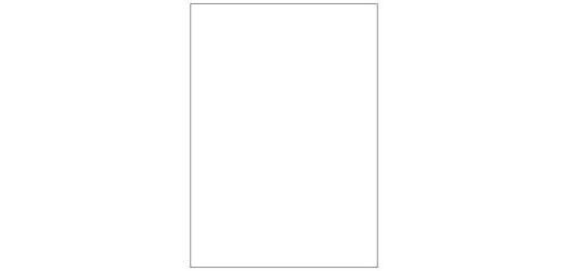 Etichette bianche senza margini - Laser/Inkjet/Copiatrici - 210x297 - 100 ff