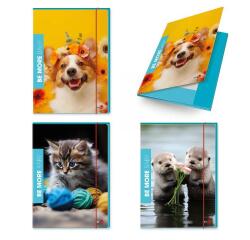 CF 6 CARTELLINE 3 LEMBI BABY DORSO 1CM CON ELASTICO TONDO 25 5X35 COVER 700GR PLASTICA LUCIDA