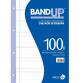 RICAMBI RINFORZATI BAND UP A4 100GR RIGATURA B FG 40