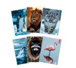 Maxiquaderno Animal fantasia - A4 - 40+2 fogli - 80gr - rigo di 1a - BM