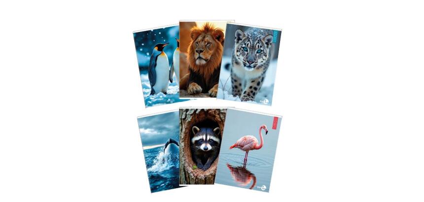 Maxiquaderno Animal fantasia - A4 - 40+2 fogli - 80gr - rigo di 1a - BM