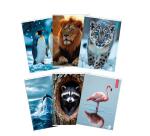 CF 10 QUADERNI ANIMAL A4 80GR RIGATURA 10F FG 20+1 COVER 200GR VERNICE U.V.