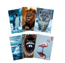 CF 10 QUADERNI ANIMAL A4 80GR RIGATURA 10F FG 20+1 COVER 200GR VERNICE U.V.