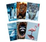 Maxiquaderno Animal fantasia - A4 - 40+2 fogli - 80gr - 4mm - BM