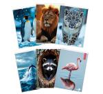Maxiquaderno Animal fantasia - A4 - 40+2 fogli - 80gr - rigo di 3a - BM