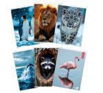 Maxiquaderno A4 40fg+2 80gr 1 rigo c/margine Animal 2023 BM