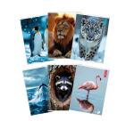 Maxiquaderno Animal fantasia - A4 - 40+2 fogli - 80gr - 10mm - BM