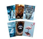 Maxiquaderno Animal fantasia - A4 - 40+2 fogli - 80gr - 5mm - BM