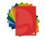 CF 5 QUADERNI CARTONATI A4 80GR RIGATURA C FG 48+1 COVER CARTONATA PLASTICA LUCIDA COL. ASS.