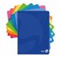 CF QUADERNI COLOR BROSSURATI A4 80 GR RIGATURA 5MM FG 96+1 COVER CARTOCINO PLASTICA LUCIDA COL. ASS.