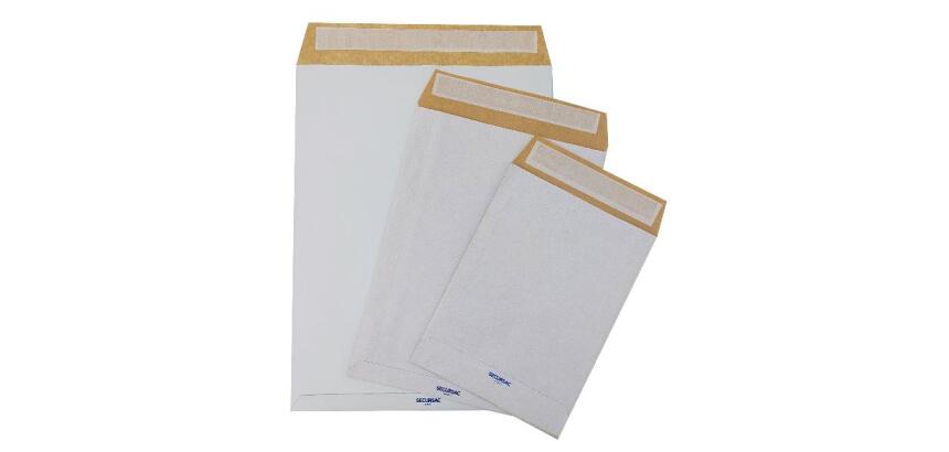 CF100 SACCHETTI ANTISTRAPPO SECURSAC 23X33 DIN C4 130GR