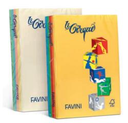 RISMA LE CIRQUE A4 80GR 500 FOGLI - COLORI TENUI e FORTI