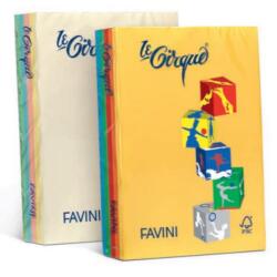 LE CIRQUE A4 160GR 250 FOGLI - COLORI TENUI e FORTI