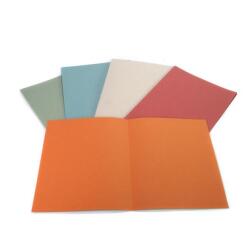 CF100CARTELLINE SEMPL GRIGIE 145GR