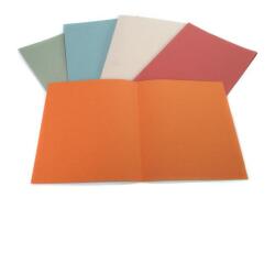 CF100 CARTELLINE SEMPL BLU 145