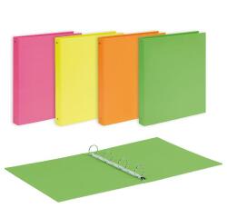 CF10 RACCOGLITORI NEON IN CARTONE  A4  4 ANELLI DA 30 MM  4 COLORI ASSORTITI  FORMATO INTERNO 22X30CM  FORMATO ESTERNO 27X32CM