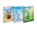 CF12 CARTELLA 3 LEMBI CON ELASTICO FUFFY FORMATO ESTERNO 26X34CM FORMATO INTERNO 24 5X33 CM 3 FANTASIE ASSORTITE
