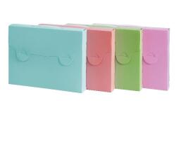 VALIGETTA PASTELLO 38X29 D5 PP ASS